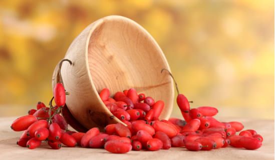 Barberry berries, a natural source of berberine